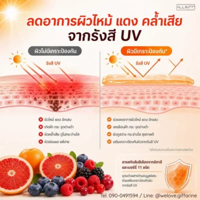 กราฟิกเปรียบเทียบประสิทธิภาพการป้องกันผิวจากรังสี UV และการลดอาการผิวไหม้แดงด้วยสารสกัดส้มแดง