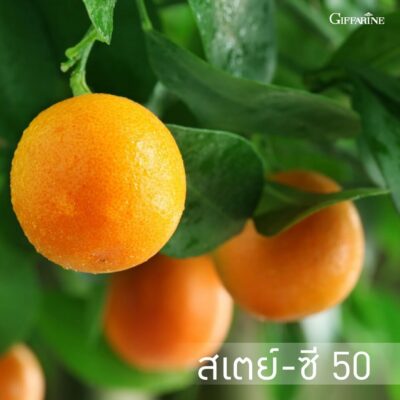 สเตย์-ซี 50
