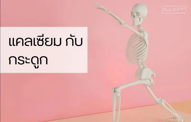 โครงกระดูกมนุษย์ แสดงความสำคัญของแคลเซียมในการเสริมสร้างความแข็งแรงของกระดูกและป้องกันกระดูกพรุน