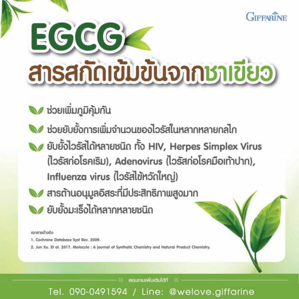 ประโยชน์ของ EGCG