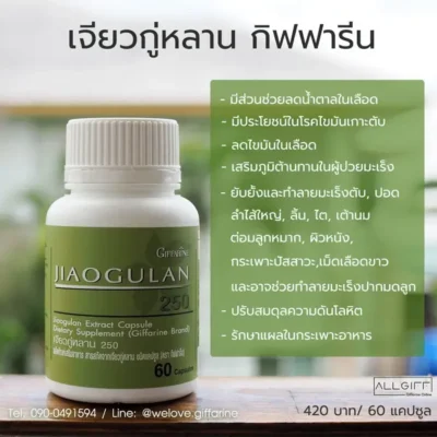 ผลิตภัณฑ์เจียวกู่หลาน กิฟฟารีน พร้อมสรรพคุณเด่น เช่น ลดน้ำตาลในเลือด ลดไขมัน และปรับสมดุลความดัน