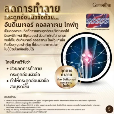 คุณสมบัติของ อันดีเนเจอร์ คอลลาเจน ไทพ์ทู ช่วยลดการทำลายกระดูกอ่อนผิวข้อ