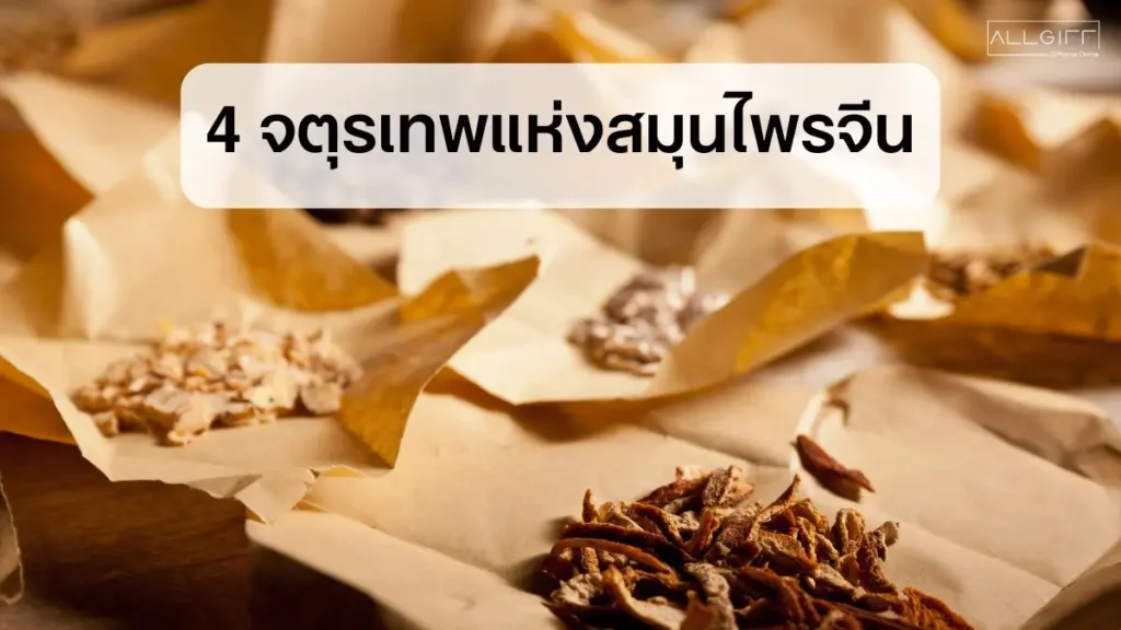 4 จตุรเทพแห่งสมุนไพรจีน บำรุงสุขภาพ