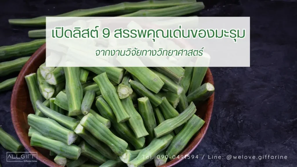 ภาพปกบทความ เปิดลิสต์ 9 สรรพคุณของมะรุม จากงานวิจัยทางวิทยาศาสตร์ พร้อมรูปฝักมะรุมสดหั่นท่อน