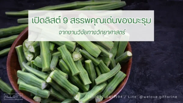 ภาพปกบทความ เปิดลิสต์ 9 สรรพคุณของมะรุม จากงานวิจัยทางวิทยาศาสตร์ พร้อมรูปฝักมะรุมสดหั่นท่อน