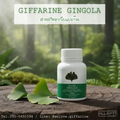 ขวดผลิตภัณฑ์ จิงโกลา กิฟฟารีน (Giffarine Ginkola) สารสกัดจากใบแปะก๊วย ตั้งอยู่บนขอนไม้ในป่าธรรมชาติที่อุดมสมบูรณ์