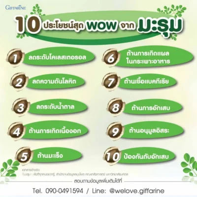 10 ประโยชน์ของมะรุมที่เป็นส่วนประกอบหลักใน มะรุมซี กิฟฟารีน เช่น ลดคอเลสเตอรอล ลดความดัน ต้านอนุมูลอิสระ