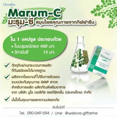 อินโฟกราฟิกส่วนประกอบสำคัญของมะรุมซี กิฟฟารีน ที่มีใบมะรุม 450 มก. และวิตามินซี 15 มก. พร้อมมาตรฐานการผลิต GMP