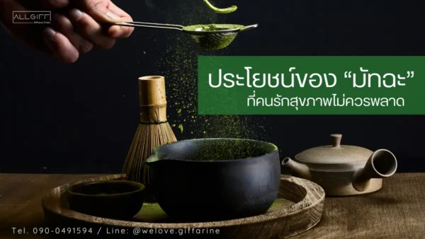 ประโยชน์ของมัทฉะสำหรับคนรักสุขภาพ พร้อมอุปกรณ์ชงชาเขียวญี่ปุ่นแบบดั้งเดิม