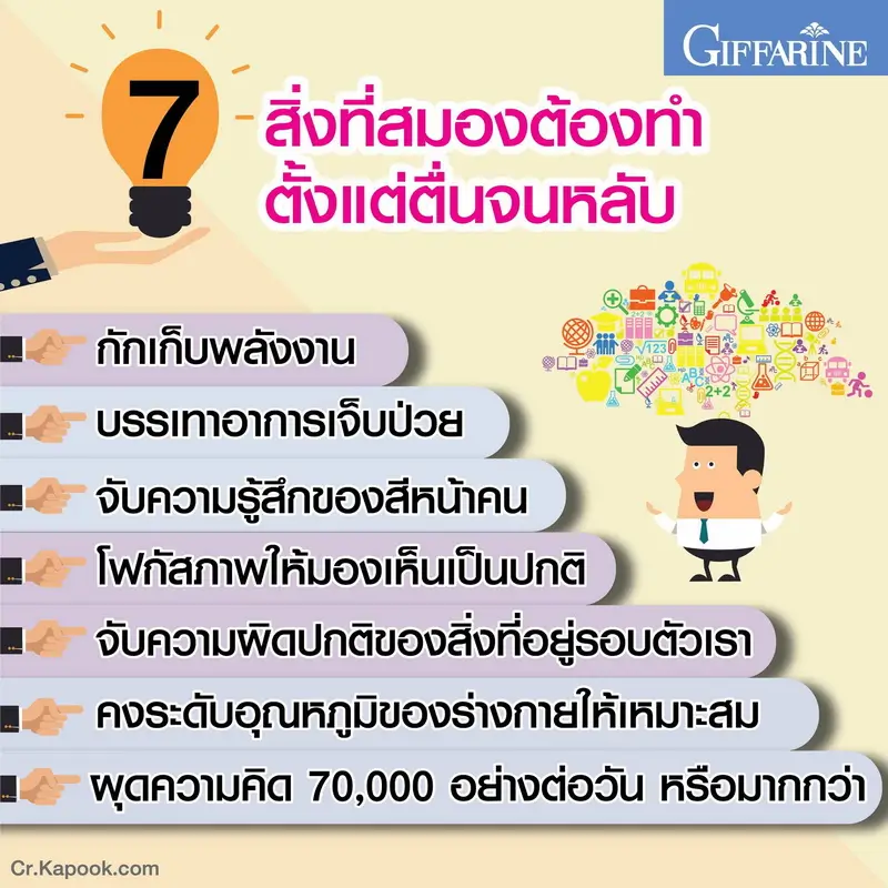 กราฟิกแสดง 7 ภารกิจหลักที่สมองต้องทำ และเหตุผลที่ต้องการ DHA