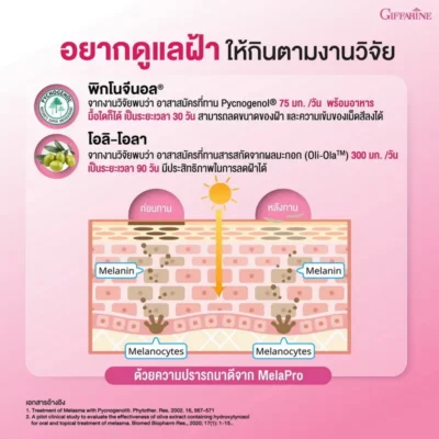 แผนภาพเปรียบเทียบชั้นผิวและการทำงานของเมลาโปรในการลดเม็ดสีเมลานินตามงานวิจัย