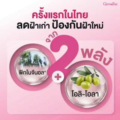 กิฟฟารีน เมลาโปร ผสาน 2 พลัง พิกโนจีนอล และ โอลิ-โอลา ช่วยลดฝ้าเก่าและป้องกันฝ้าใหม่