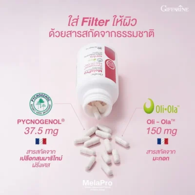 ส่วนประกอบสำคัญของ กิฟฟารีน เมลาโปร: Pycnogenol และ Oli-Ola