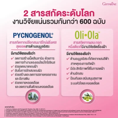 สรุปงานวิจัยกว่า 600 ฉบับของ พิกโนจีนอล และ โอลิ-โอลา ในกิฟฟารีน เมลาโปร