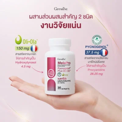 ส่วนประกอบสำคัญของเมลาโปร มีสารสกัดจากมะกอก 150 มก. (ให้ Hydroxytyrosol) และเปลือกสนมาริไทม์ฝรั่งเศส 37.5 มก. (ให้ Procyanidins)
