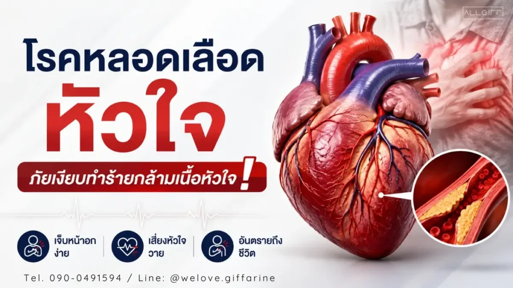 โรคหลอดเลือดหัวใจ ภัยเงียบทำร้ายกล้ามเนื้อหัวใจ แสดงภาพโครงสร้างหัวใจ หลอดเลือดอุดตันจากคราบไขมัน และผู้ป่วยมีอาการเจ็บแน่นหน้าอก