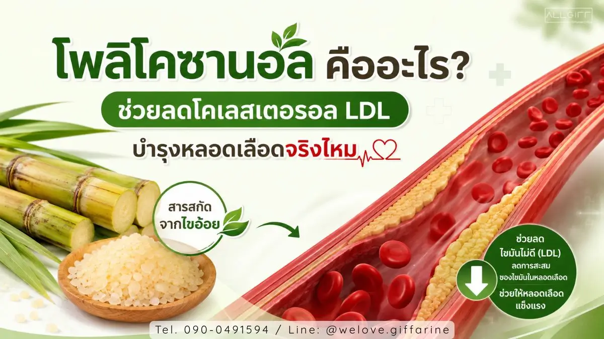 โพลิโคซานอล คือสารสกัดจากไขอ้อย ช่วยลดคอเลสเตอรอล LDL ลดการสะสมไขมันในหลอดเลือด บำรุงระบบไหลเวียนโลหิตและหัวใจ