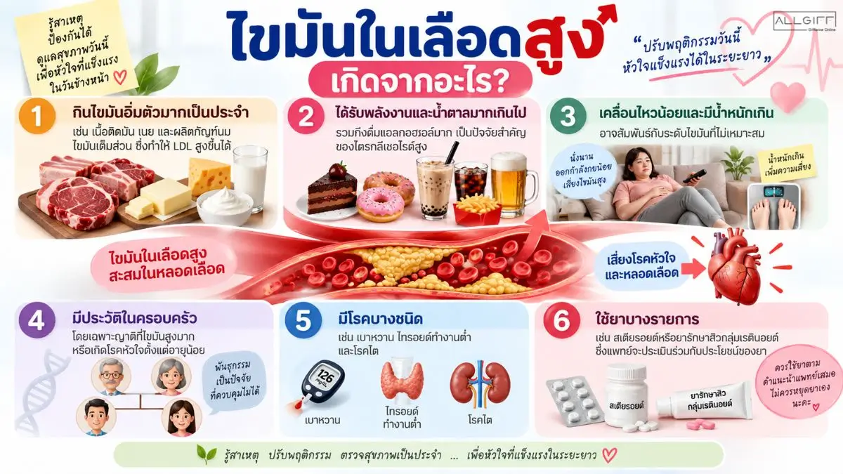 สาเหตุของไขมันในเลือดสูงจากอาหาร พฤติกรรม น้ำหนัก พันธุกรรม โรคบางชนิด และยา
