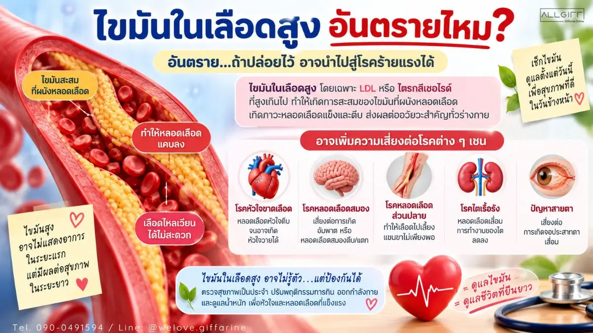 อันตรายและความเสี่ยงจากไขมันในเลือดสูงต่อหัวใจ หลอดเลือดสมอง ไต และสุขภาพตา
