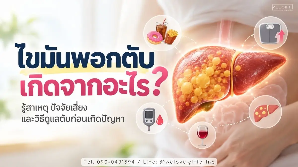 ไขมันพอกตับเกิดจากอะไร สาเหตุ ปัจจัยเสี่ยง และวิธีดูแลตับ