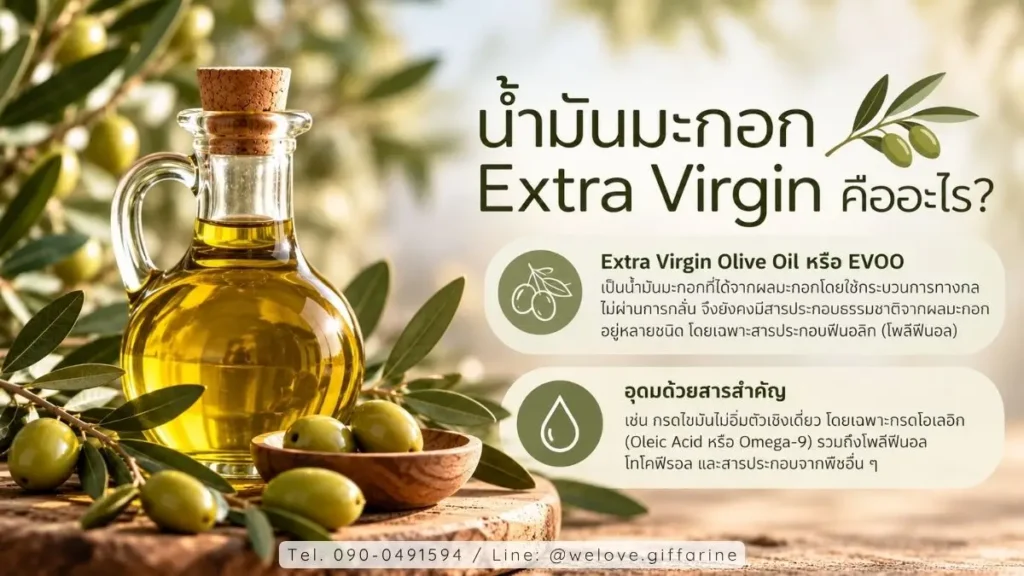 น้ำมันมะกอก Extra Virgin คืออะไร และมีสารอาหารสำคัญอะไรบ้าง