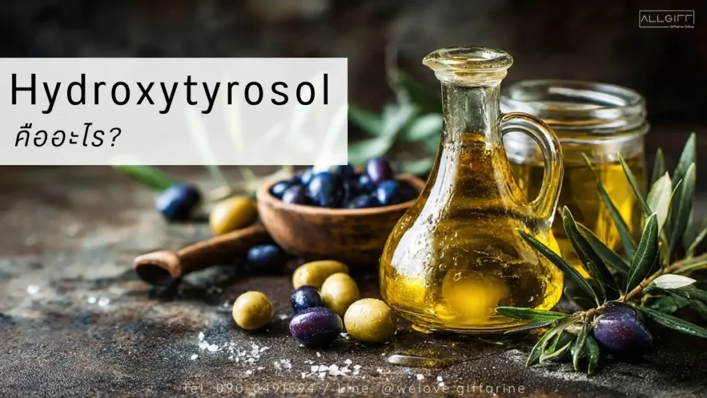 Hydroxytyrosol คืออะไร สารต้านอนุมูลอิสระจากน้ำมันมะกอกดูแลหัวใจ